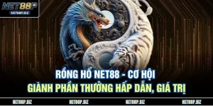 Rồng Hổ NET88 - Cơ Hội Giành Phần Thưởng Hấp Dẫn, Giá Trị